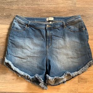 Lila Ryan denim shorts!  Size 18W